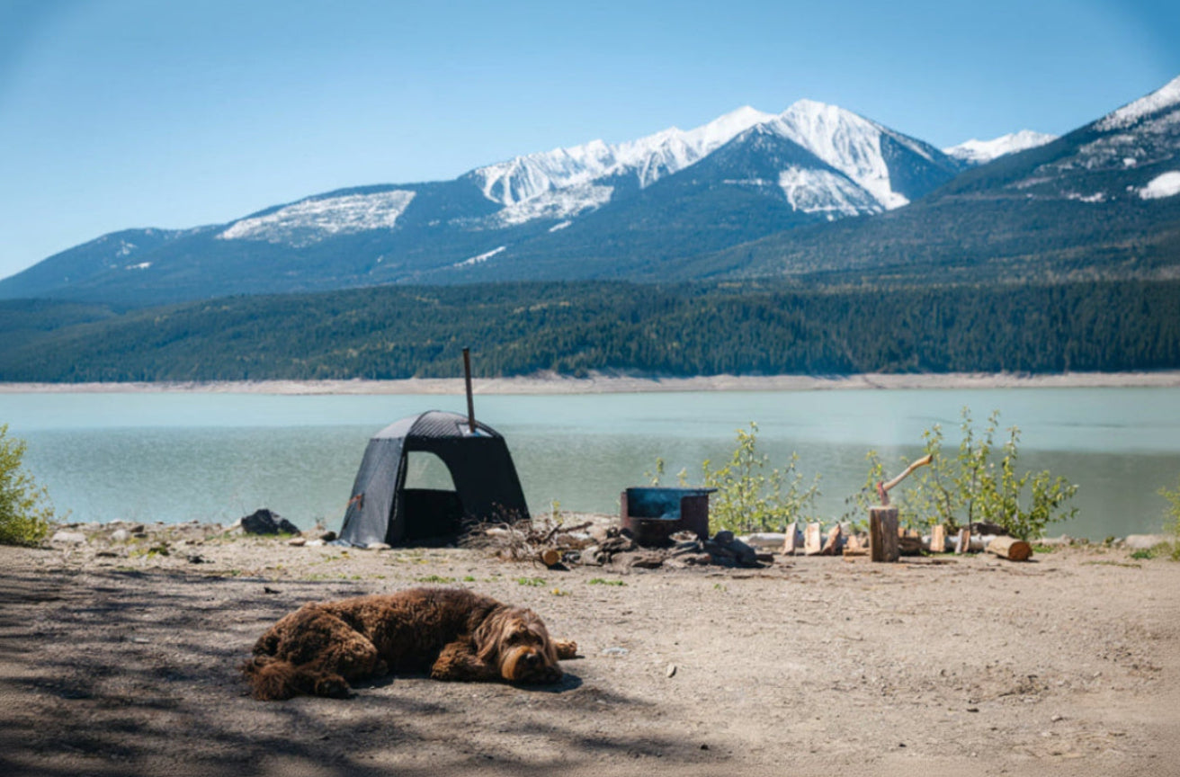 Brown dog lying on the ground with mountains, thermaculture portable sauna  tent and a lake in the background
